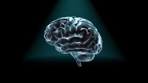 Understanding The Human Brain Thinking And Re Thinking Man And Machine Earlier this year, i posted a blog entitled tease your brain. it offered 10 brainteasers that showed how our preconceived notions, combined with the brain's tendency to see what it wants or expects to see. thinking and re thinking man and machine