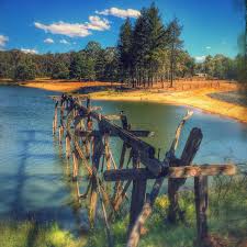 St Georges Lake Was Once A Mining Dam Used To Supply Water To The Creswick Battery Victoria Outdoors Summer Ballarat Victoria Australia Lake Australia