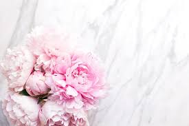 Symbolism of the peony flower. Peonies 1080p 2k 4k 5k Hd Wallpapers Free Download Wallpaper Flare
