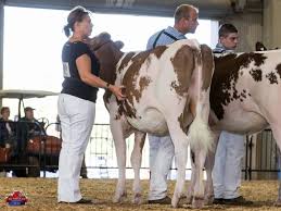 All-American Red & White Show 2015