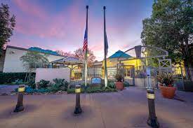 Maybe you would like to learn more about one of these? Animal Services City Of Mission Viejo
