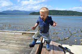 Explore Hood Canal And Mason County