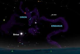 Image result for Tarenna junodii