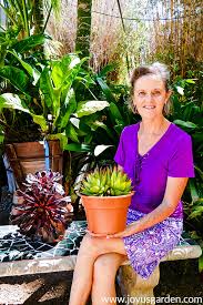 Maybe you would like to learn more about one of these? How Much Sun Do Succulents Need Joy Us Garden