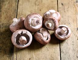 Yesterday catia and i prepared a wonderful table for our tea together. Chestnut Mushrooms Organic 200g