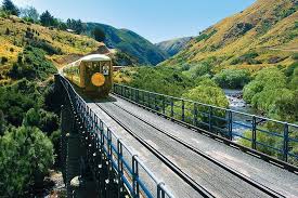 Explore dunedin's victorian and edwardian architecture, get close to rare wildlife and soak up the. Taieri Gorge Railway Og Otago Peninsula Tour Fra Dunedin 2021 Dunedin Og Otago Halvoya
