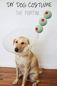 Last Minute Halloween Costume The Pupitini Puppy Time Dog Halloween Dog Halloween Costumes Diy