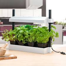 We did not find results for: Micro Grow Light Garden Suttons Suttons