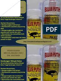 We did not find results for: Cara Pakai Minyak Bulus Pembesar Payudara Cara Pemakaian Minyak Bulus Pembesar Payudara 0857 91 484 822 Pdf