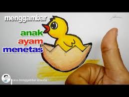 Jika anak menyukai hewan maka kesempatan bagus. Cara Menggambar Anak Ayam Menetas Youtube
