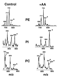 Pest management contractors and auditors who need to build a stronger relationship with the food facility teams will find this course beneficial in applying integrated pest management concepts or measures specific to the food and beverage industries. Concomitant Acceleration Of The Activation And Inactivation Kinetics Of The Human Delayed Rectifier K Channel Kv1 1 By Ca2 Independent Phospholipase A2 Journal Of Biological Chemistry