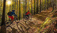 Vous voulez partir tout de suite mais vous ne savez pas où ? Idees Week End Alsace Routard Com