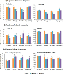 A cell is a unit that contains many organelles, carrying out different functions and forming the basis for all living organisms. Simulated Microgravity Mars Gravity And 2g Hypergravity Affect Cell Cycle Regulation Ribosome Biogenesis And Epigenetics In Arabidopsis Cell Cultures Scientific Reports