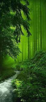 Nature Wallpaper Download Images Of Nature Beauty Nature Wallpaper Hd 3d Natural Photo Gallery U Beautiful Nature Beautiful Landscapes Beautiful Forest