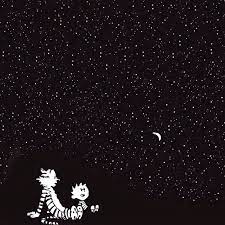 Calvin and hobbes is a daily american comic strip created by cartoonist bill watterson that was syndicated from november 18, 1985 to december 31, 1995. 2932x2932 Calvin And Hobbes 4k Ipad Pro Retina Display Hd 4k Wallpapers Images Backgrounds Photos And Pictures