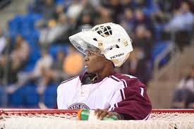 Boys hockey: fine performances from semifinal and championship games