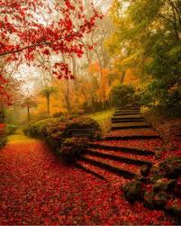 Awesome Places And Nature On Instagram Breenhold Gardens Mount Wilson New South Wales Australia L Photograp Autumn Scenery Beautiful Nature Autumn Garden