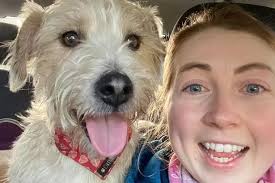 Newtownabbey Murphy's Barkery announces closure as inspirational sisters  move