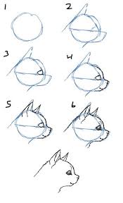 Black And White Cat Drawing Face How To Draw Cat Faces Heads Side View Cat Face Drawing Cat Drawing Tutorial Cat Drawing