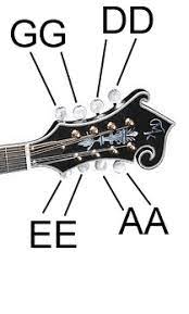 Check spelling or type a new query. Mandolin Tuning Mandolin Tuning Mandolin Tuning Mandolin Making Music