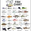 First time seasoned fishermen and children. Https Encrypted Tbn0 Gstatic Com Images Q Tbn And9gctktvrclpgal23mmcvhbvea Ic0hjrnnowiyfnl7isgleuxgzaa Usqp Cau