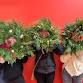 Wreath Workshop - THE SHEBOYGAN COLLECTIVE event in Sheboygan, WI