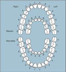 This identification system is also known as the zsigmondy system or the grid system. Jaypeedigital Ebook Reader