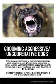 Have someone to help you: Pawfect Aggressiveness Is Subjective Most Dogs Are Either Scared Or Spoiled And Act Accordingly They Often Act Very Differently With The Owner Than They Do With Us They May Growl Or