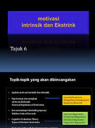 Intrinsik dan ekstrinsik terhadap kepuasan. 6 Motivasi Intrinsik Dan Ekstrinsik