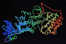 Check spelling or type a new query. Protein Assay