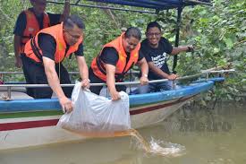 Berikut tips dan langkah dalam memelihara ayam bangkok super besar ketika anda memelihara anak ayam bangkok, maka anda harus lebih teliti dan juga lebih sabar. Usaha Pemuliharaan Penyu Diteruskan