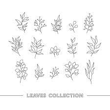 Let us create unique and personalized products for your special event by mixing and matching our rose and rosebud illustrations with other design elements that can be found on our website. Hand Drawn Leaves Collection Design Hand Drawn Leaves Floral Png And Vector With Transparent Background For Free Download In 2021 How To Draw Hands Hand Drawn Leaves Leaf Drawing