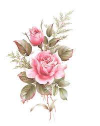 images?q=tbn:ANd9GcTKTjVQJZffG0uxiI8wNTS4QScWU7KwqGrWPFd9Tk1nVpn9AEQG