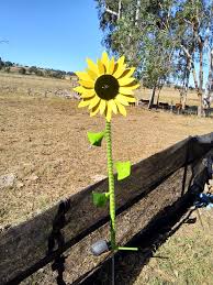 Maybe you would like to learn more about one of these? Sunflower Made From Old Seeding Parts And Head Petals Plas Flickr