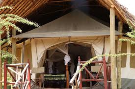 Descubre las ofertas para elangata olerai luxury camp. Elangata Olerai Luxury Camp Masai Mara Evacay Africa