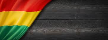 He current flag of bolivia was officially adopted on november 30, 1851. Premium Photo Bolivia Flag On Concrete Wall Horizontal Panoramic Banner 3d Illustration