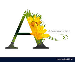 Take a look back at our past posts, from entertaining and design tren. Vector Alphabet Flower For A To Z On Behance
