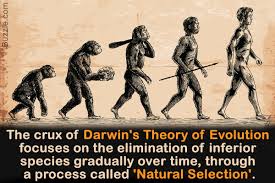 Implicitly, the darwinian theory accepts the randomness of genetic modifications, hence the name darwin's theory's notable objections were the evil and greedy character of natural selection and the. Charles Darwin An Introduction To The Theory Of Evolution Biology Wise