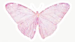 Pink Holographic Butterfly Sticker With A White Border Free Image By Rawpixel Com Adj Butterfly Holographic Free Png