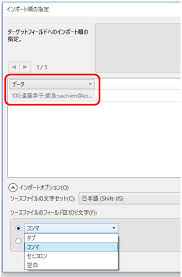 Filemaker Pro 18 Advanced の新機能 データインポート イエスウィキャンのファイルメーカー情報