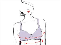 online bra size calculator uk find the perfect bra for you