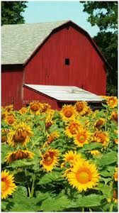 I'd like to suggestion for the following blueprints: Free Barn Plans Outbuilding Plans Do It Yourself Projects And Building Guides