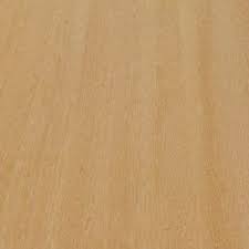 Image result for Millettia stuhlmannii