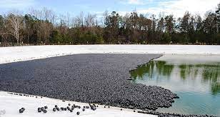 Evaporation Control: Hexoshield® And Hexprotect® Floating Covers