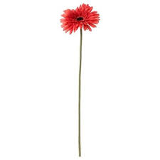 Variera Schubladenmatte Transparent Ikea Deutschland Kunstblume Gerbera Ikea Kunstblumen