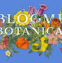 Bloomer Botanicals from cca.winfieldchamber.org