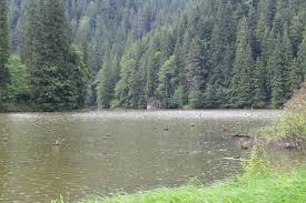 Lacul rosu este cel mai mare lac de baraj natural format pe teritoriul romaniei. Lacul Rosu Cheile Bicazului Piatra Neamt Victorvct