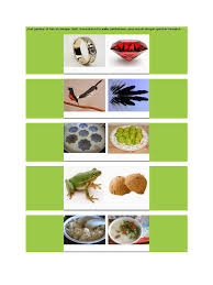 Katak di bawah tempurung maksud: Peribahasa Bergambar