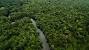 Foret Amazonienne 2019