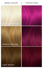 Pin By Mari Friesen On Purple Hair In 2020 Arctic Fox Hair Color Arctic Fox Hair Dye Arctic Fox Dye